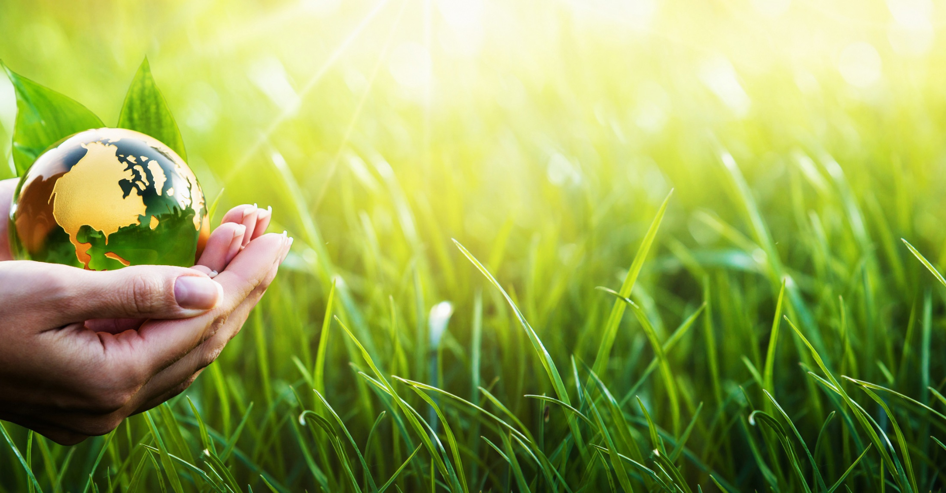 Women's Empowerment - Our Works