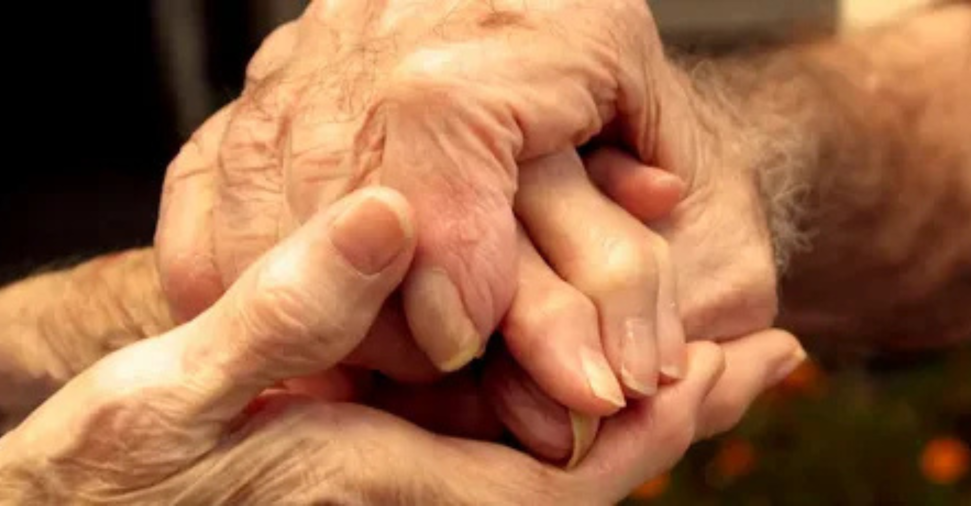 Livelihood - Our Works